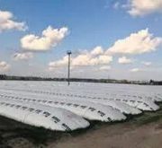 Агроплівка, плівка з рукава для зберігання зерна б/в, накриття, тент, для ставків, водойм